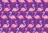 Flamingók poszter, fotótapéta Vlies (254 x 184 cm)