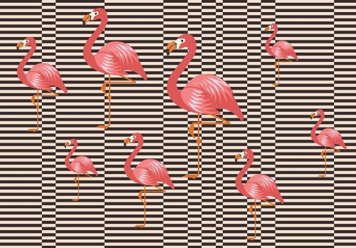 Flamingók poszter, fotótapéta, Vlies (416 x 254 cm)