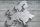 Europa poszter, fotótapéta, Vlies (104 x 70,5 cm)