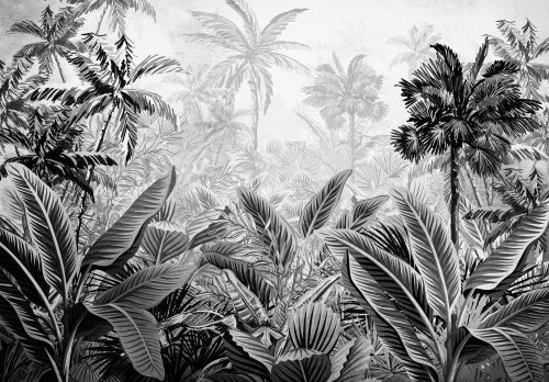 dzsungel szürkében poszter, fotótapéta Vlies (368 x 254 cm)