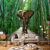 Elefánt a bambuszerdőben poszter, fotótapéta Vlies (152,5 x 104 cm)