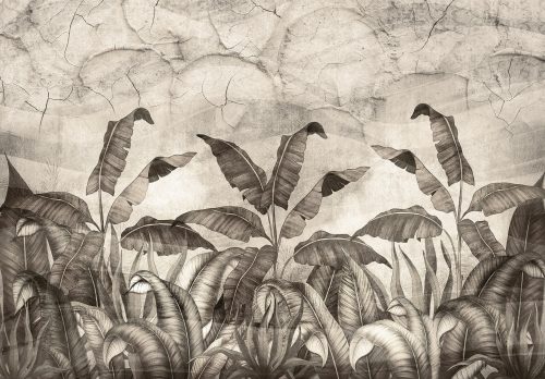 Fekete-fehér trópusi levelek beton háttérel poszter, fotótapéta (254 x 184 cm)