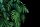 Zöld trópusi levelek fekete háttéren poszter, fotótapéta, Vlies (104 x 70,5 cm)