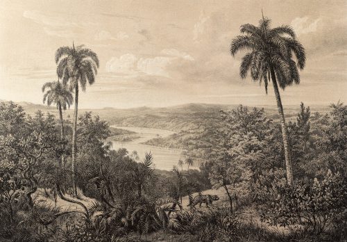 Vintage trópusi kép poszter, fotótapéta Vlies (254 x 184 cm)