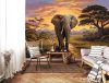 Elefánt poszter, fotótapéta, Vlies (416 x 290 cm)