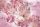 Rózsaszín virágok lepkékkel poszter, fotótapéta Vlies (208 x 146 cm)
