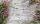Levendula poszter, fotótapéta, Vlies (104 x 70,5 cm)