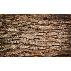 Farönk poszter, fotótapéta, Vlies (416 x 254 cm)