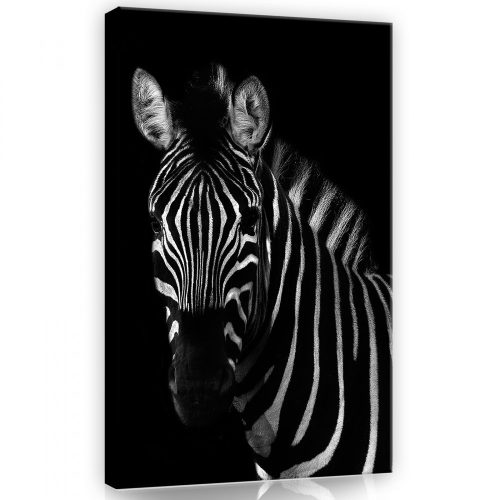 Zebra, vászonkép, 40x60 cm méretben