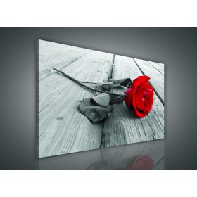Vászonkép, Vörös rózsa, 100x75 cm méretben Vászonkép, Vörös rózsa, 100x75 cm méretben