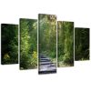Canvas print 5 parts, Path in a green forest - 150x100 cm