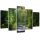 Canvas print 5 parts, Path in a green forest - 200x100 cm