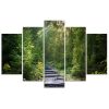 Canvas print 5 parts, Path in a green forest - 150x100 cm