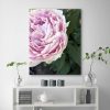 Vászonkép, Rózsaszín bazsarózsa virágok - 80x120 cm