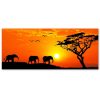Canvas print, African savannah panorama - 150x50 cm