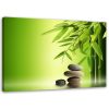 Canvas print, Zen stones and bamboo on green background - 120x80 cm