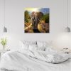 Vászonkép, Elefánt naplementében - 60x60 cm