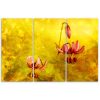 Canvas print 3 parts, Withered tulips flowers - 60x40 cm