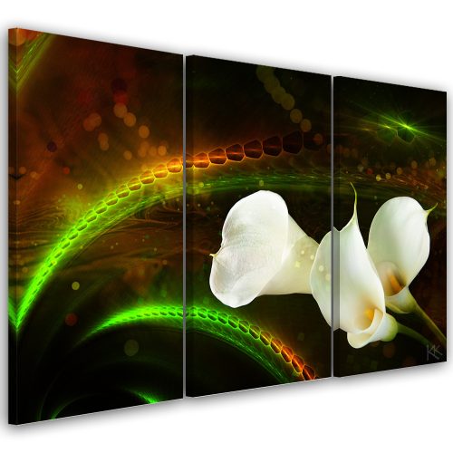 Canvas print 3 parts, Białe kwiaty na brązowym tle - 150x100 cm
