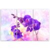 Canvas print, Violet orchid flower - 100x70 cm