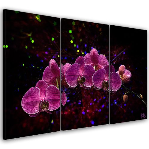 Canvas print 3 parts, Orchid on dark background - 60x40 cm