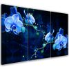 Vászonkép 3 részből, kék orchidea virág - 90x60 cm
