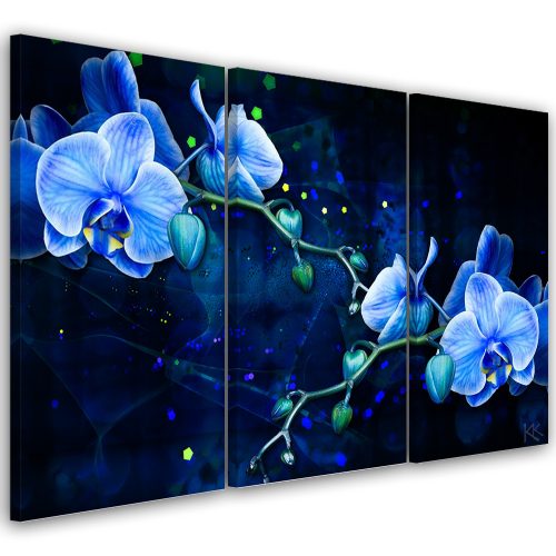 Vászonkép 3 részből, kék orchidea virág - 150x100 cm