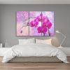Canvas print 3 parts, Orchid flower abstract - 150x100 cm