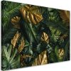 Vászonkép, Trópusi Monstera levelek növények - 100x70 cm