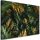 Vászonkép, Trópusi Monstera levelek növények - 120x80 cm