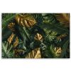 Vászonkép, Trópusi Monstera levelek növények - 120x80 cm