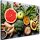 Vászonkép, Zöldségek és gyümölcsök - 120x80 cm