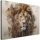 Vászonkép, Oroszlán állat Afrika - 60x40 cm
