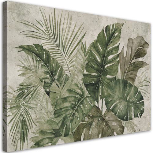 Vászonkép, Trópusi monstera levelek - 90x60 cm