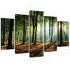 Canvas print 5 parts, Sunrays in the forest - 200x100 cm