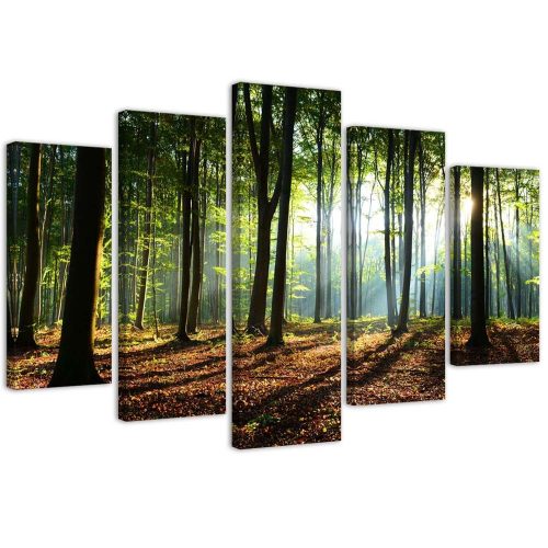 Canvas print 5 parts, Sunrays in the forest - 200x100 cm