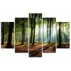 Canvas print 5 parts, Sunrays in the forest - 100x70 cm