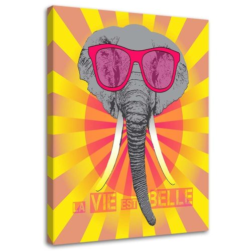 Vászonkép, Elefánt szemüveggel - 60x90 cm