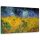 Vászonkép, Búzamező hollókkal - V. van Gogh Reprodukció - 120x80 cm