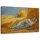 Vászonkép, Szieszta - V. van Gogh Nyomat - 120x80 cm