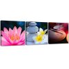 Set of three pictures canvas print, Flowers and relaxation zen - 90x30 cm