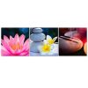 Set of three pictures canvas print, Flowers and relaxation zen - 90x30 cm