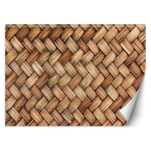 Wall mural, Willow Texture Vintage - 100x70 cm