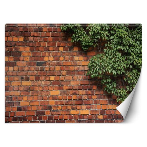 Wall mural, Brick Wall and Vines - 100x70 cm