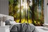 Wall mural, Forest in the sunshine - 100x70 cm