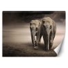 Fotótapéta, Elefánt pár állatok - 100x70 cm