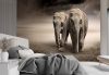 Fotótapéta, Elefánt pár állatok - 250x175 cm
