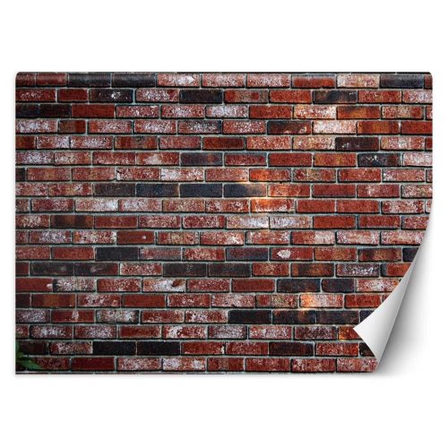 Wall mural, Red brick brick wall - 100x70 cm
