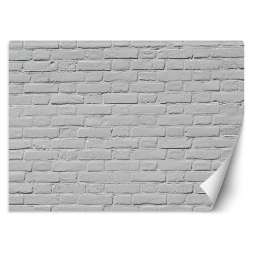 Fotótapéta, Fehér tégla kőfal - 450x315 cm