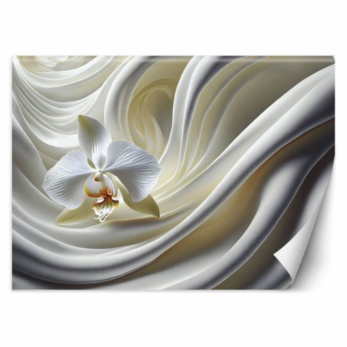 Fotótapéta, Fehér orchidea - 150x105